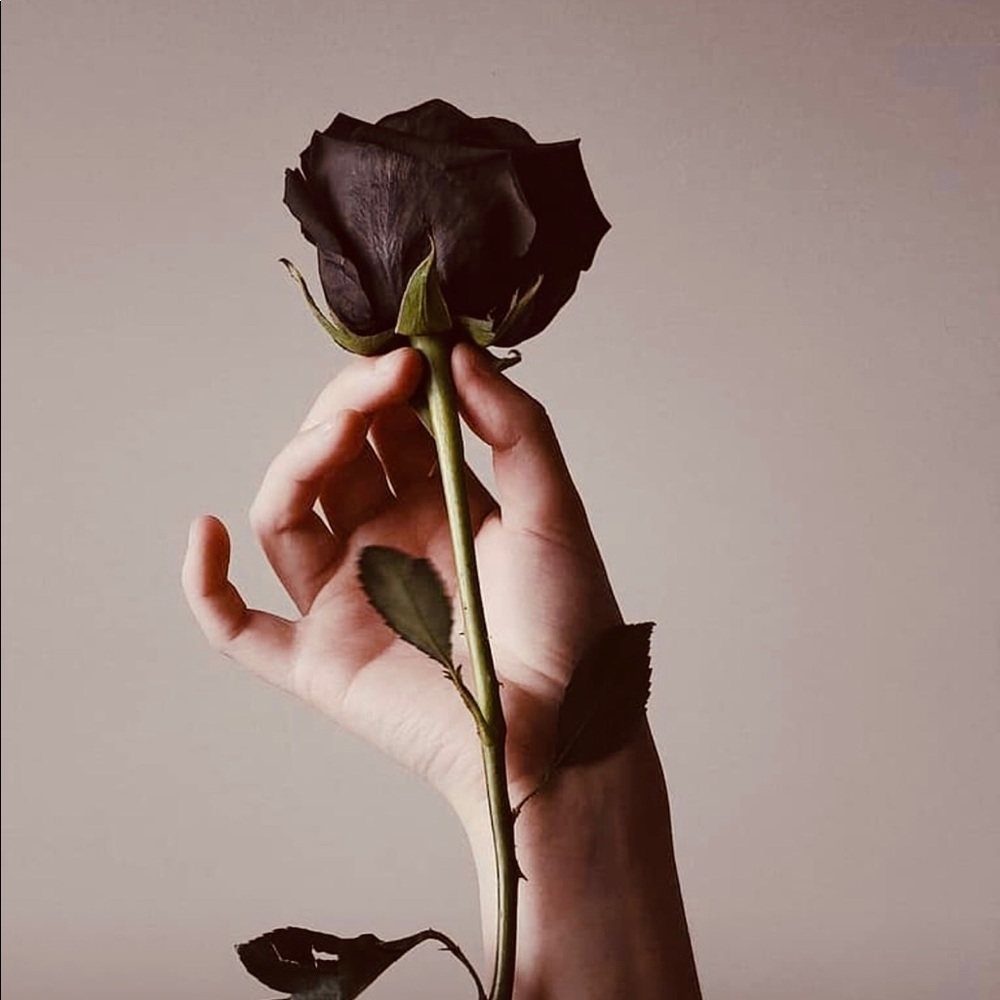 Meet your Posher, Dinora